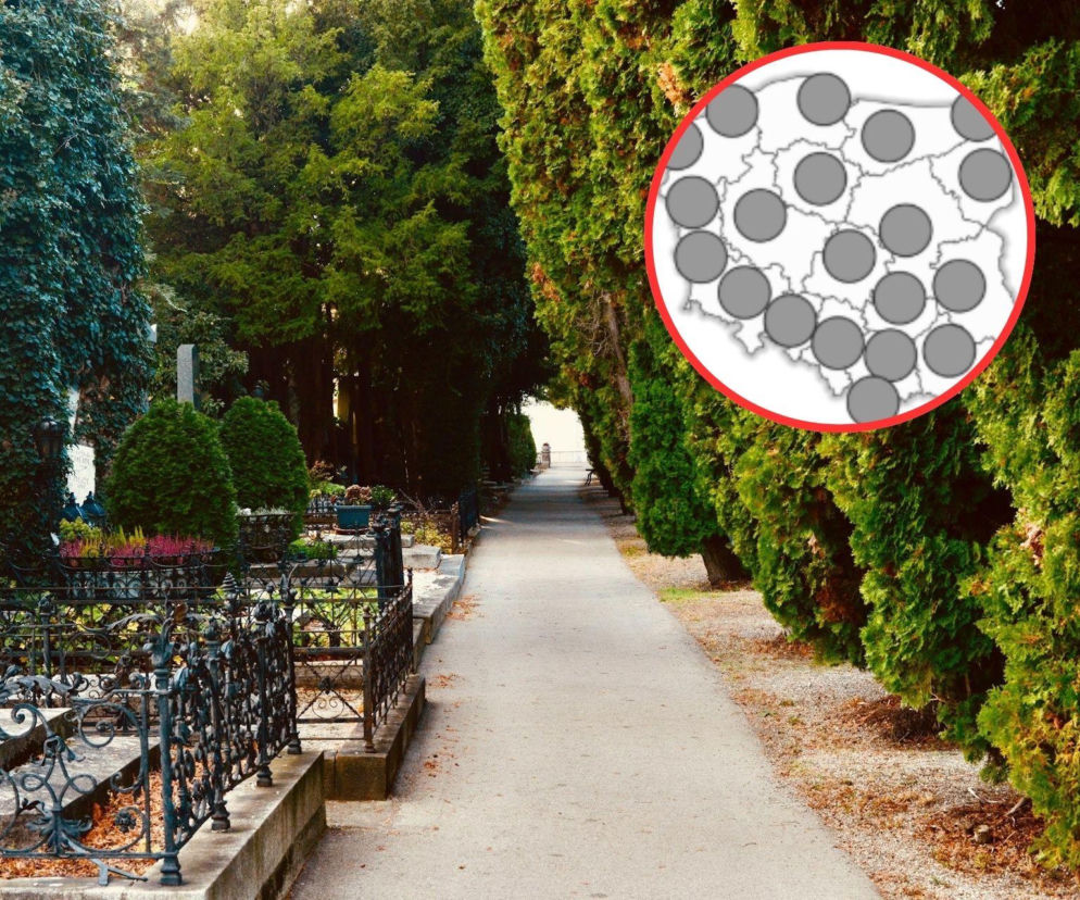 Pusta alejka na cmentarzu wśród drzew i grobów. Na miniaturze mapa Polski z ikonami opadów. O pogodzie pisze SE Pogoda.