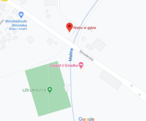 Opole. Gdzie zamówić jedzenie na dowóz? [LISTA]