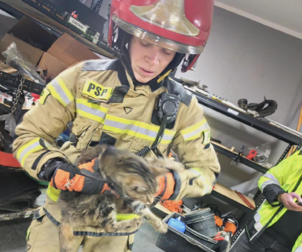  Kot w opałach - na pomoc strażacy. Zwierzę wpadło do komina wentylacyjnego