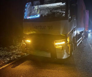 Autobus z pielgrzymami zderzył się z owcą, a gdy zatrzymał się na drodze, w jego tył uderzyła nadjeżdżająca ciężarówka