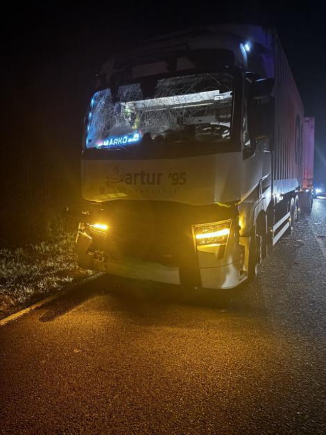 Autobus z pielgrzymami zderzył się z owcą, a gdy zatrzymał się na drodze, w jego tył uderzyła nadjeżdżająca ciężarówka
