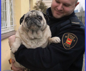Pechowy dzień Didi