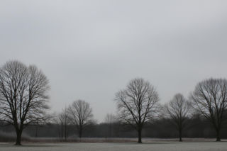 Zimno i ponuro w Chojnicach 02.12.2025. Czy to już zwiastun prawdziwej zimy?!