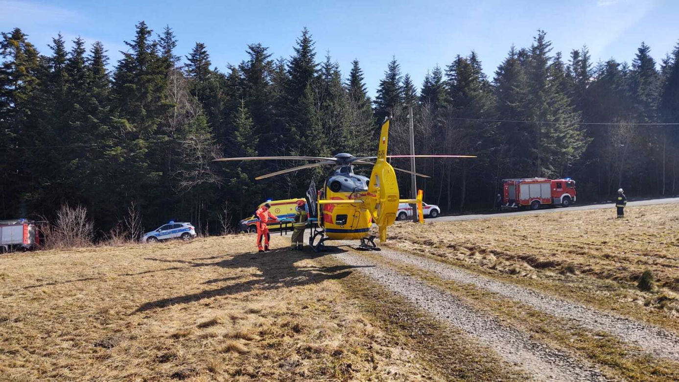 Stara Wieś. Tragedia podczas wycinki drzew. Konar przygniótł mężczyznę. Poszkodowany nie żyje