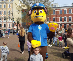 Zające chodzące i z czekolady w centrum Leszna