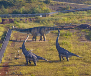 JuraPark Krasiejów