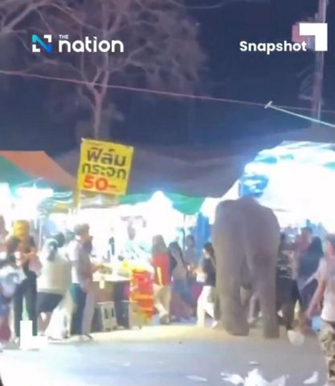 Słoń zaczął tratować ludzi na imprezie! Przerażające wideo