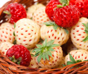 Pineberry