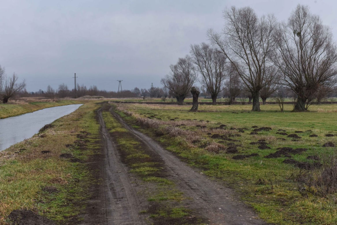 Próbowała uciec. Zadźgał ją i siebie