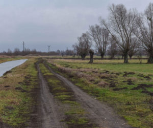 Próbowała uciec. Zadźgał ją i siebie