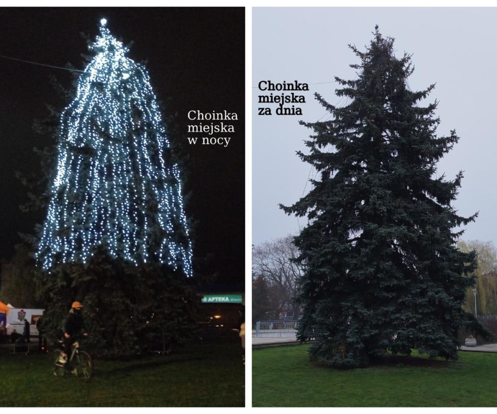 Po skargach mieszkańców na wygląd miejskiej choinki, Agencja Rozwoju Miasta Siedlce obiecuje poprawki