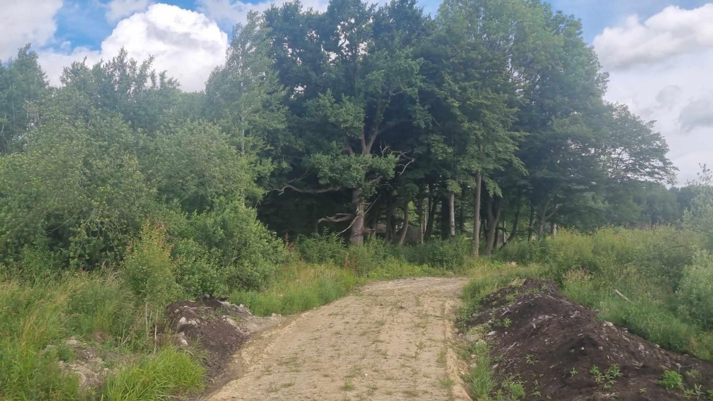 Wypędzali diabła ze swojej córeczki. Koszmar małego dziecka