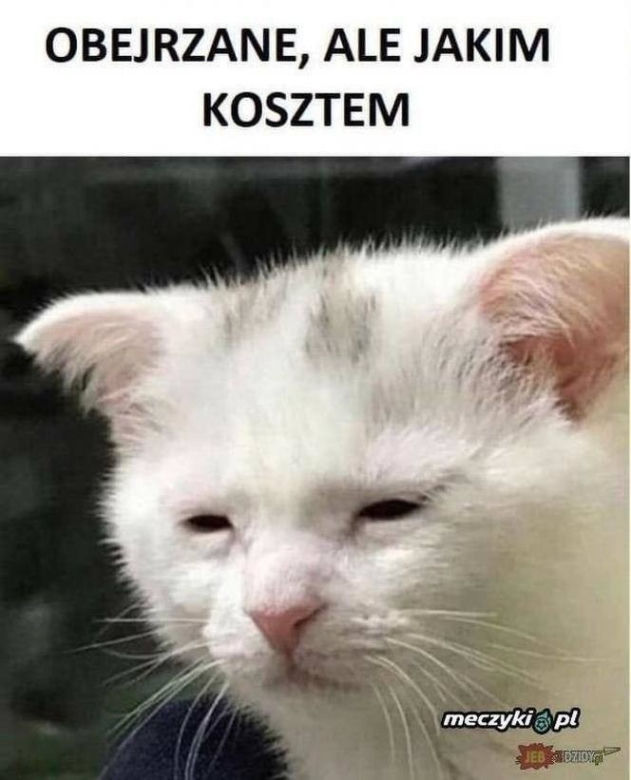 Najlepsze memy o meczu Albania - Polska!