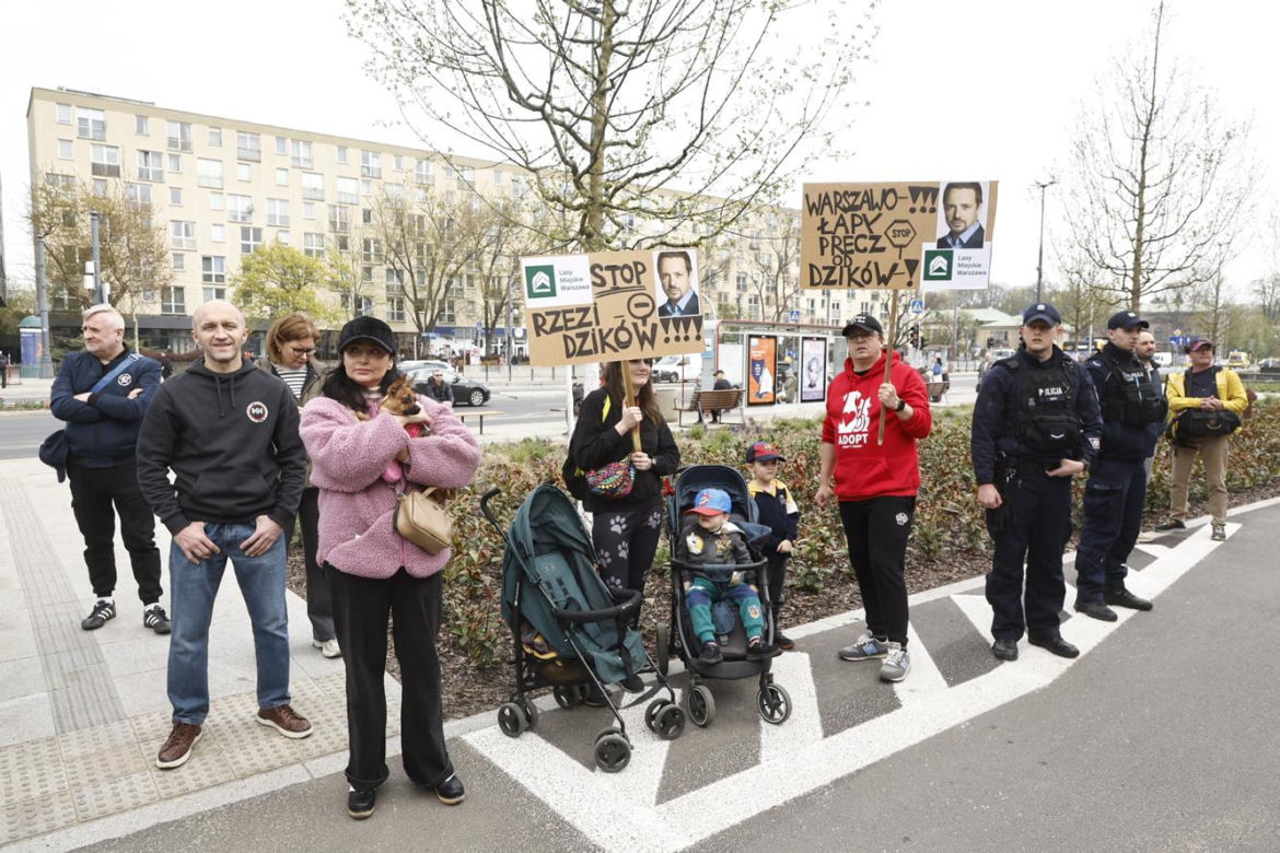 Warszawa. Protest w obronie dzików