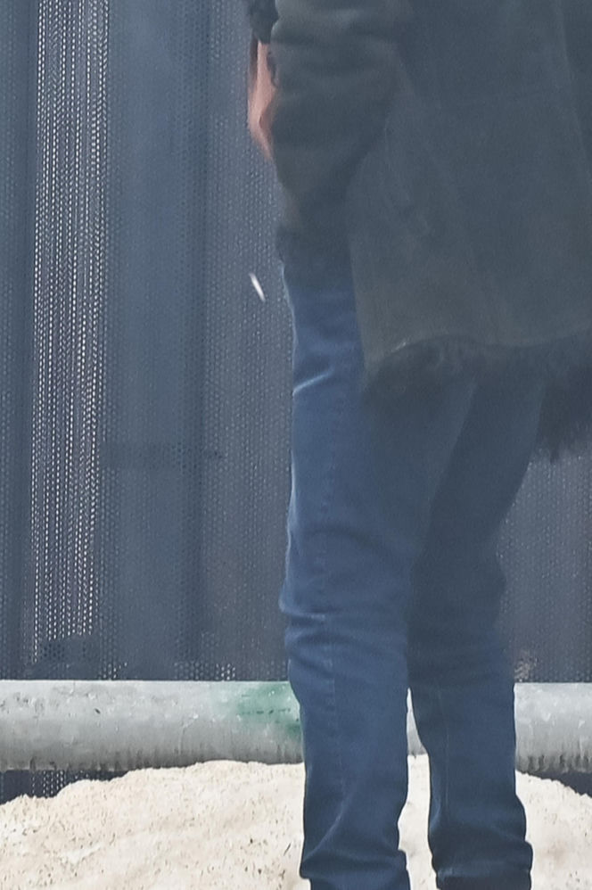 Daniel Olbrychski pali pod zakazem palenia