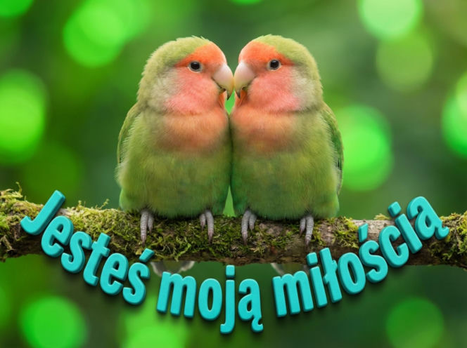 Darmowe kartki na Walentynki do ściągnięcia