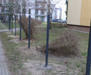 Wojna o płot i śmietnik. Konflikt mieszkańców na osiedlu w Pruszkowie