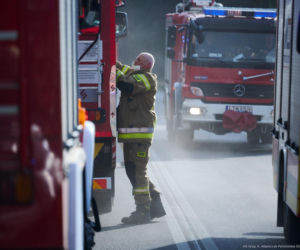 Walka z pożarem pod Biłgorajem. Szef MSWiA: „Jesteśmy umiarkowanymi optymistami”