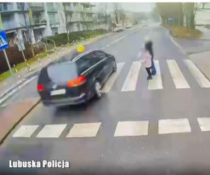 Niebezpieczny manewr na pasach w Zielonej Górze. Mogło dojść do tragedii