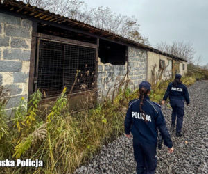 Zima bez litości. 10 osób nie żyje, wystarczy jeden telefon