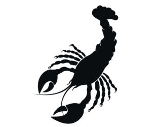 Mantra na szczęście dla znaków zodiaku