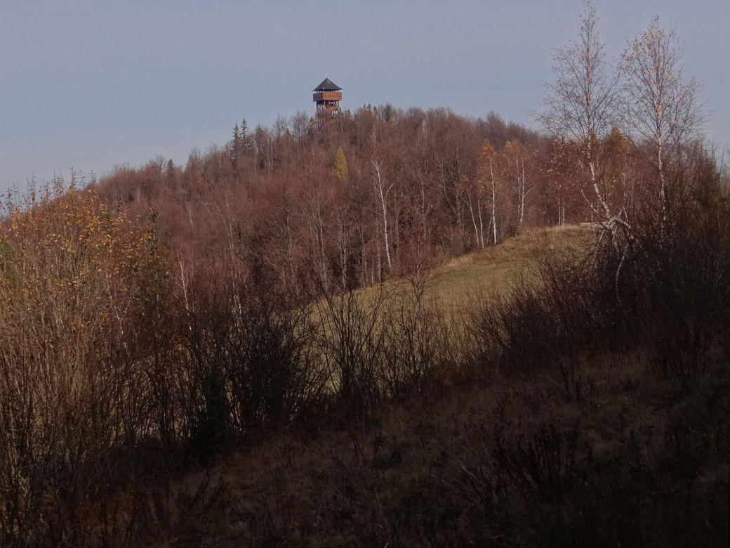 Najpiękniejsze wieże widokowe w Małopolsce według AI