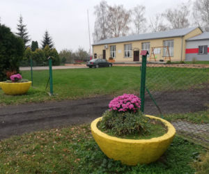 Wyjątkowo kolorowa jesień w Gminie Iława. Wszędzie chryzantemny!