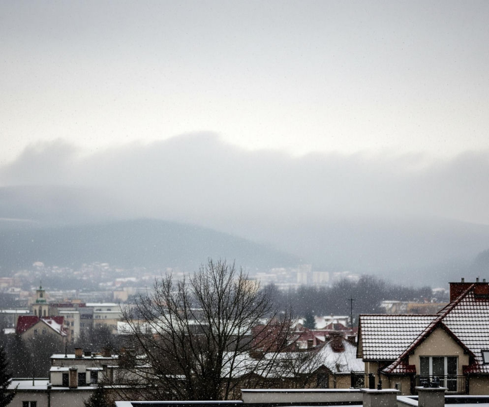 Na pierwszym planie widoczne są dachy budynków pokryte warstwą świeżego białego śniegu. Dom w prawym dolnym rogu ma dach z brązowych dachówek, okna dachowe i anteny satelitarne, a jego ściany są w kolorze piaskowym. Dalej, pośrodku obrazu, wznosi się nagie drzewo z rozgałęzionymi gałęziami, z daleka widoczny jest krajobraz miejski z licznymi budynkami i drzewami. W tle dominują zamglone, ciemne góry, a całe niebo jest szare i zachmurzone, z widocznymi opadami śniegu w postaci drobnych, jasnych punkcików.