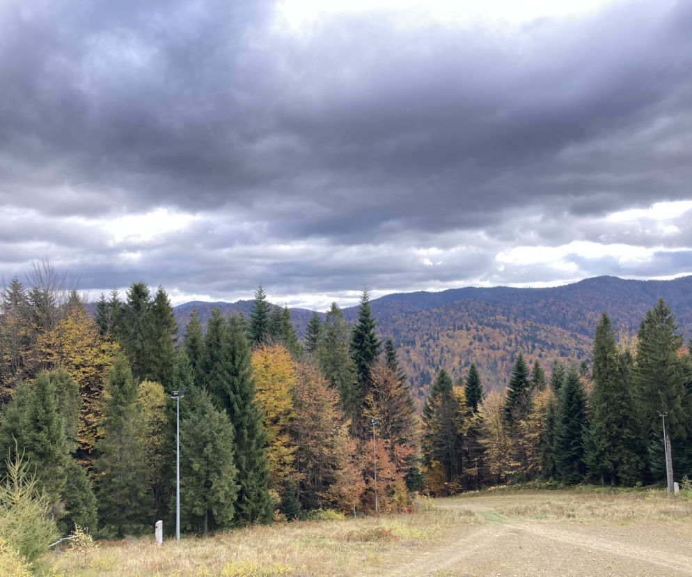 Gorce. Widok z Tobołowa