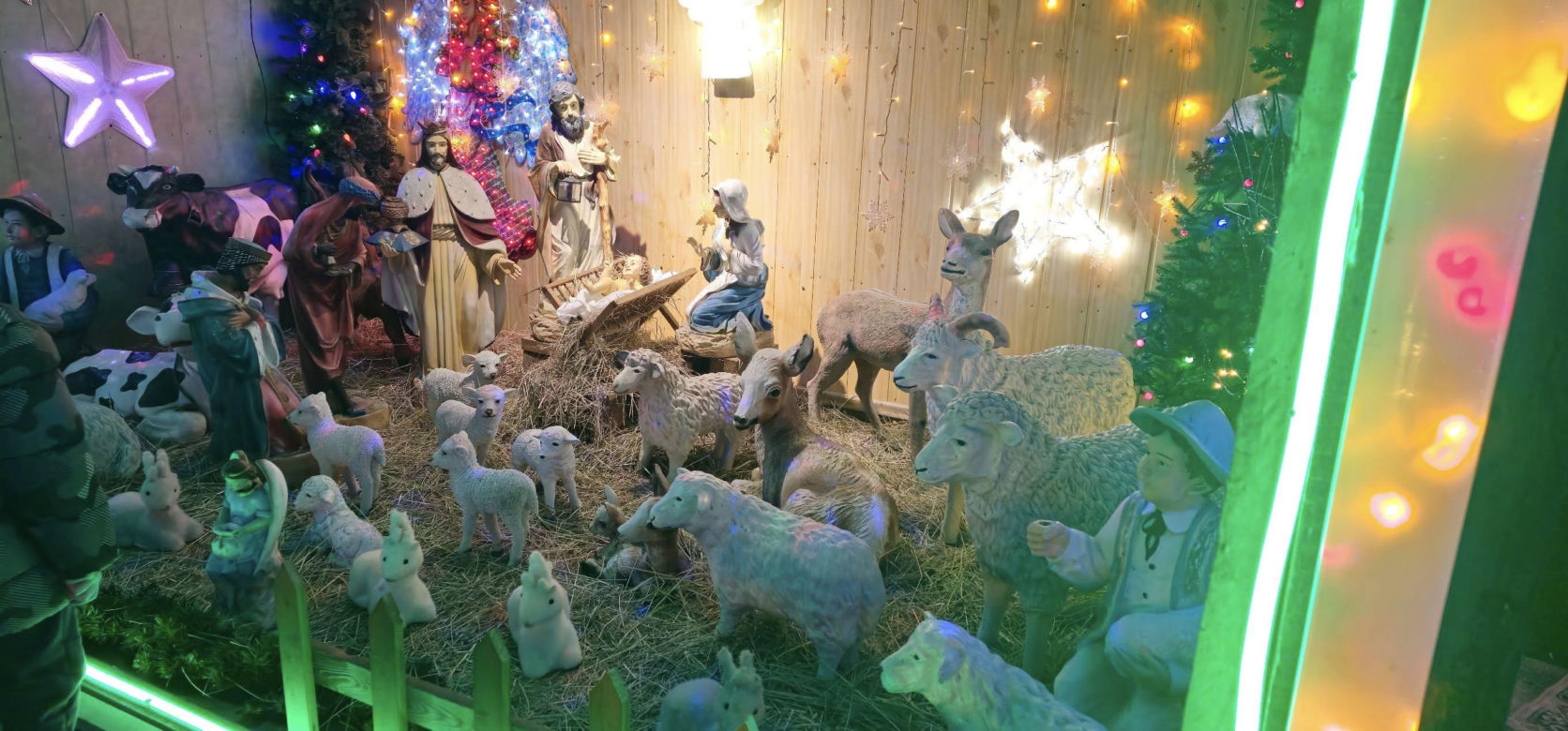 Griswoldowie z Dolnego Śląska. Najbardziej świąteczny dom mieni się tysiącami lampek 