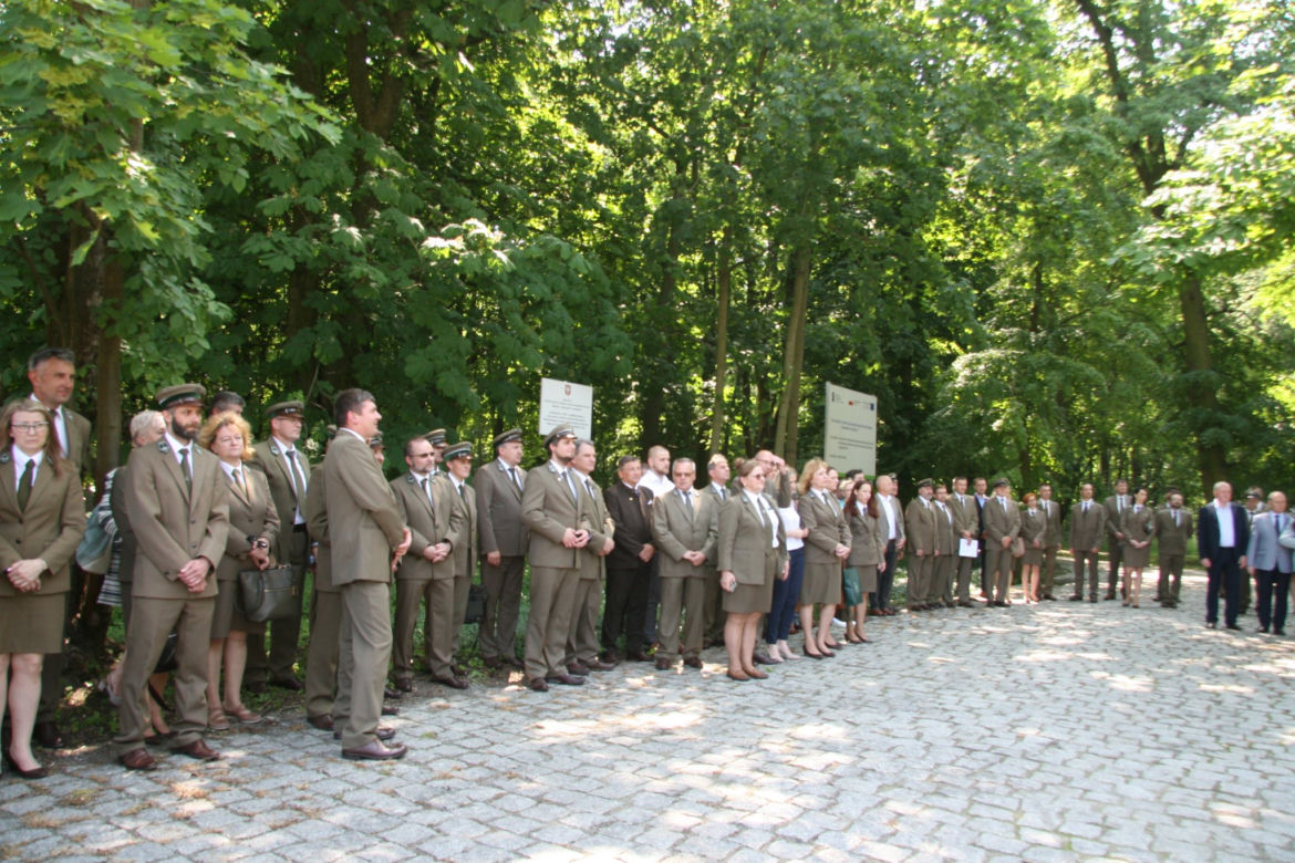 Dbają o lasy od 100 lat. Zobacz zdjęcia z jubileuszu siedleckich leśników