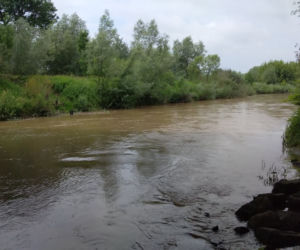 Sytuacja hydrologiczna w Tarnowie. Czy grozi nam powódź?