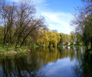 Staw znajdujący się przy pałacu