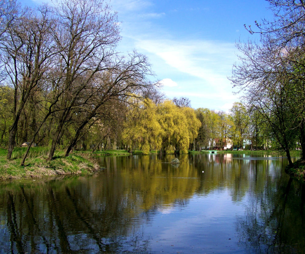 Staw znajdujący się przy pałacu