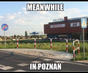 Tak internet się śmieje się z Poznania! Zobacz najlepsze MEMY!