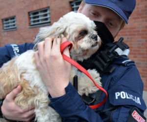 Policjant przygarnął psa