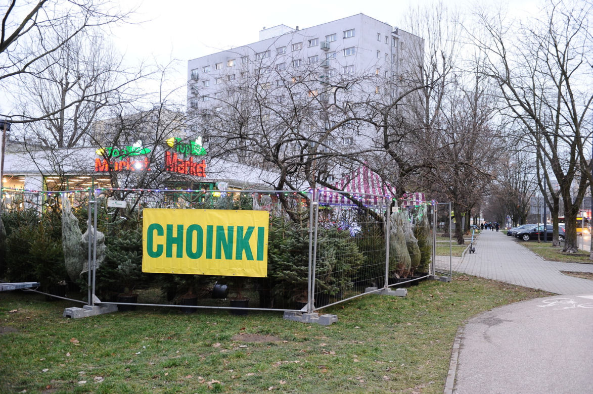Dokąd po choinki w stolicy? Sprawdziliśmy gdzie jest najtaniej