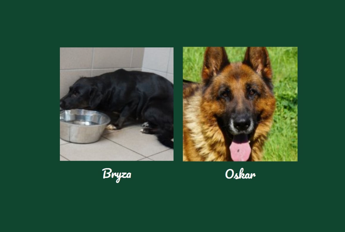 Bryza i Oskar