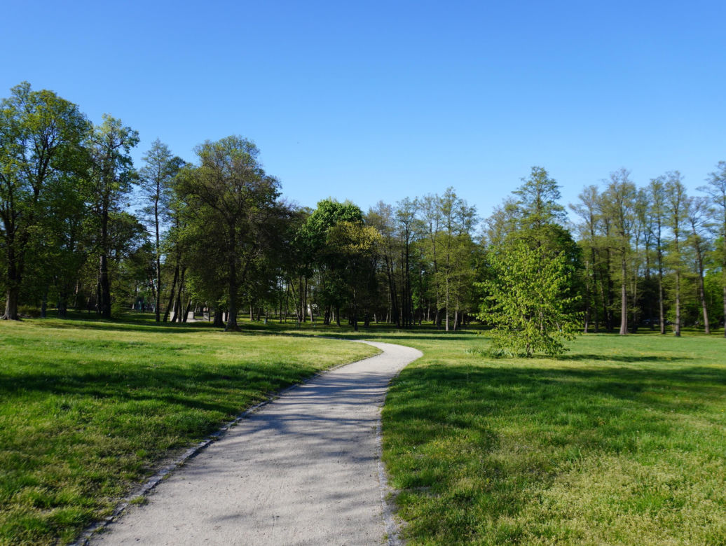 Park miejski w Opolu Lubelskim