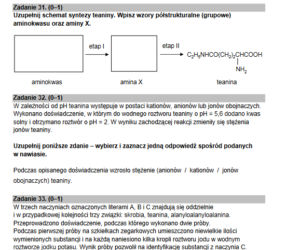 Matura rozszerzona 2022 chemia - arkusz PDF