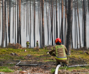Strażacy z woj. świętokrzyskiego ruszają na ratunek! Wielka mobilizacja pożarnicza w Biłgoraju
