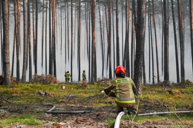 Strażacy z woj. świętokrzyskiego ruszają na ratunek! Wielka mobilizacja pożarnicza w Biłgoraju