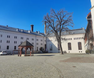 To miasto w województwie śląskim było stolicą. Znajduje się w nim perła śląskiego gotyku