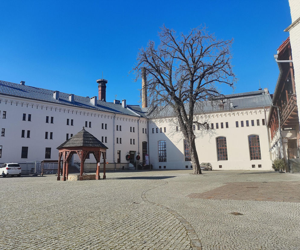 Dziedziniec zamku w Raciborzu z drewnianą altaną i drzewem. O zabytkach miasta przeczytasz na Eska Śląskie.