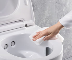 Geberit AquaClean Mera