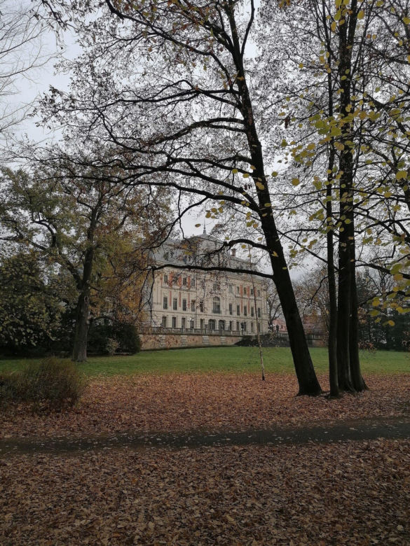 To miasto jest nazywane Perłą Górnego Śląska. Kiedyś leżało w Małopolsce