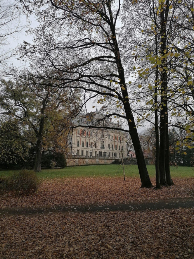 To miasto jest nazywane Perłą Górnego Śląska. Kiedyś leżało w Małopolsce