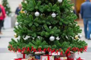 Akcja Choinka dla życia 17 grudnia. Kto skorzysta na tej wyjątkowej inicjatywie?