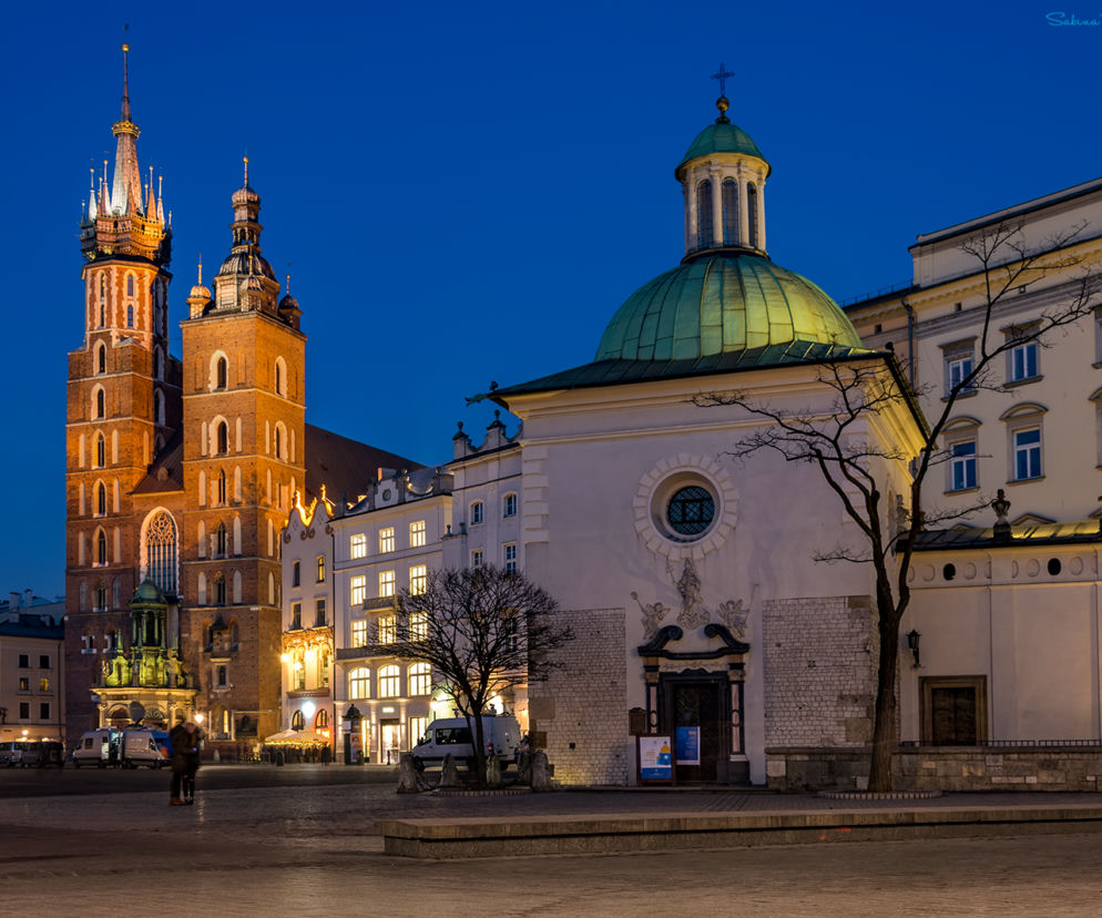 Zdjęcie dnia