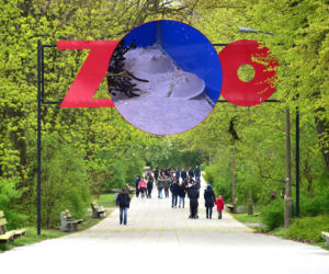 W ZOO zamieszkały zwierzęta, których… nie widać!? „Powodzenia w poszukiwaniach!”